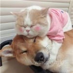 Avatar de Inés Cazares