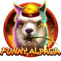Funny Alpaca